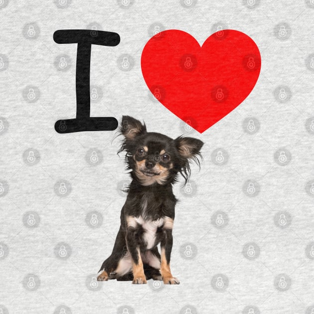 I HEART FLUFFY Chihuahua by EmoteYourself